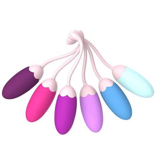 Double Color 6 Pc Kegel Balls Weighted Exercise Kit Pelvic Floor Train