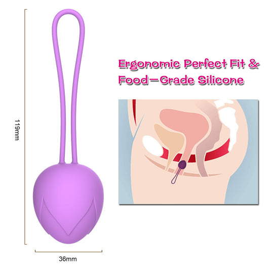 Ben Wa Kegel Ball Set 5 Pcs Progressive Weights