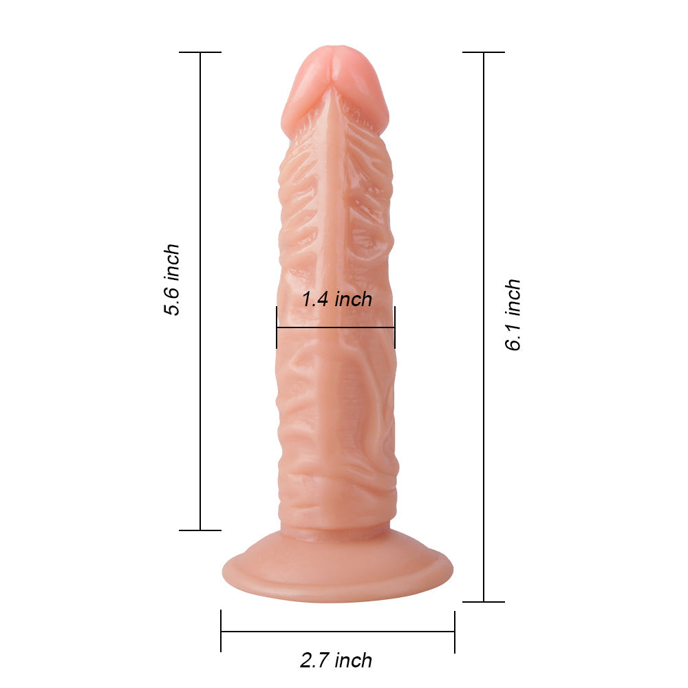 6.1 Inch Realistic Veined Dildo Without Scrotum For Anal Beginners