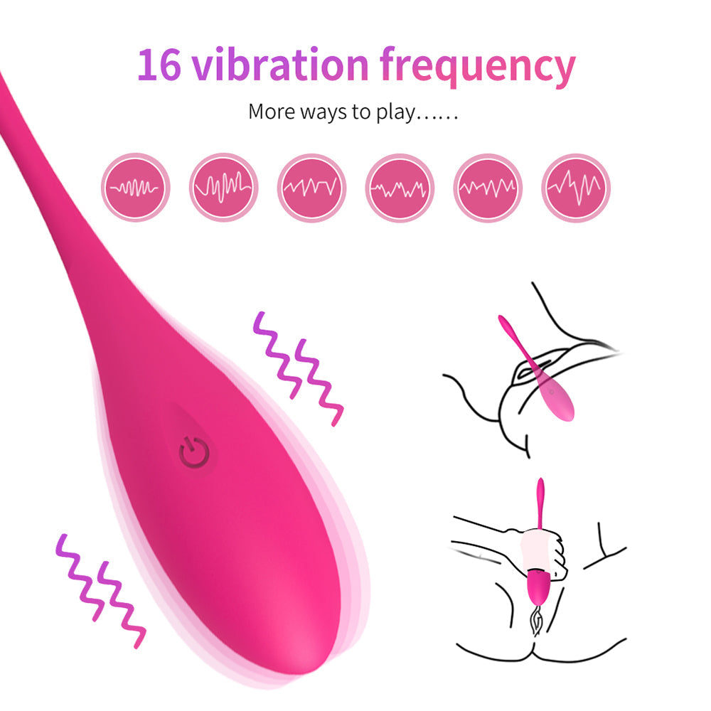 16 Vibration Frequency Bullet Vibrator Remote Control Ben Wa Kegel Ball