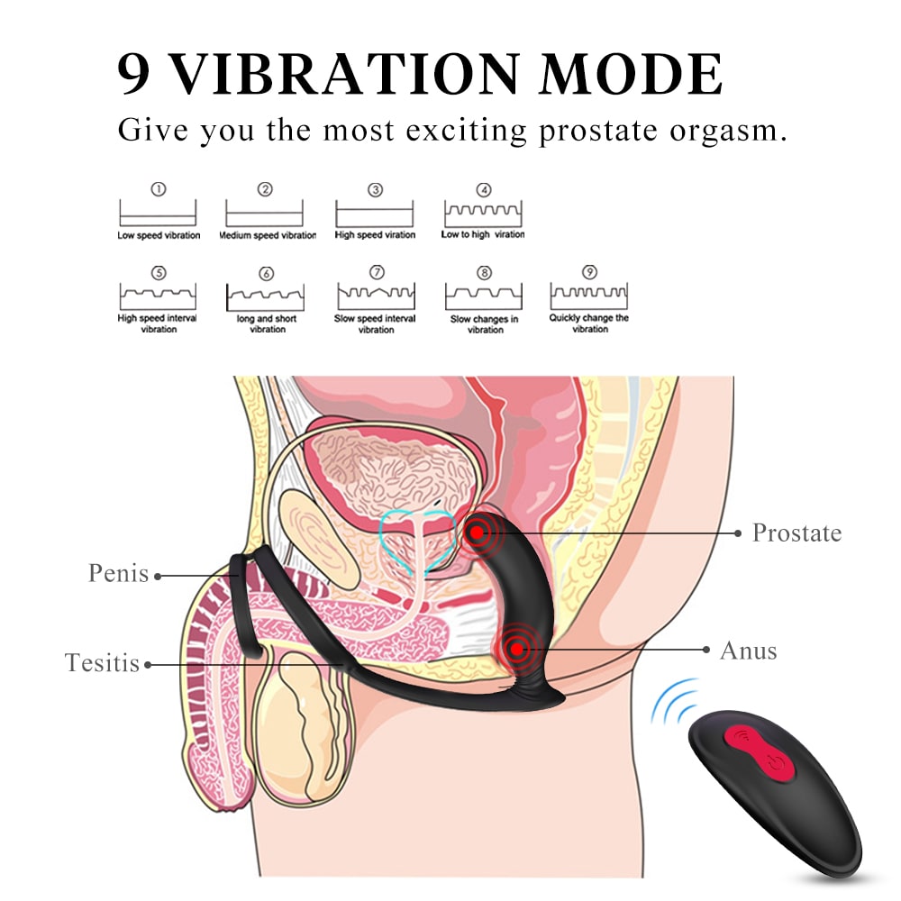 9 Modes Prostate Massager Vibrator with Penis Ring P-Spot Anal Plug