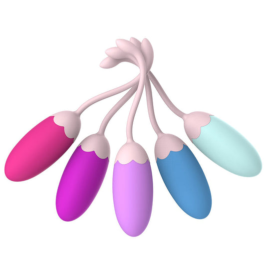 Silicone 5 Pcs Ben Wa Balls Vagina Tightening Kegel Exerciser Kit